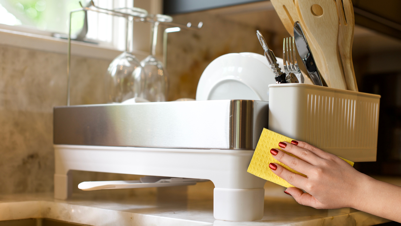 How to Clean and Maintain Your Dish Rack for Long-lasting Use – Happimess