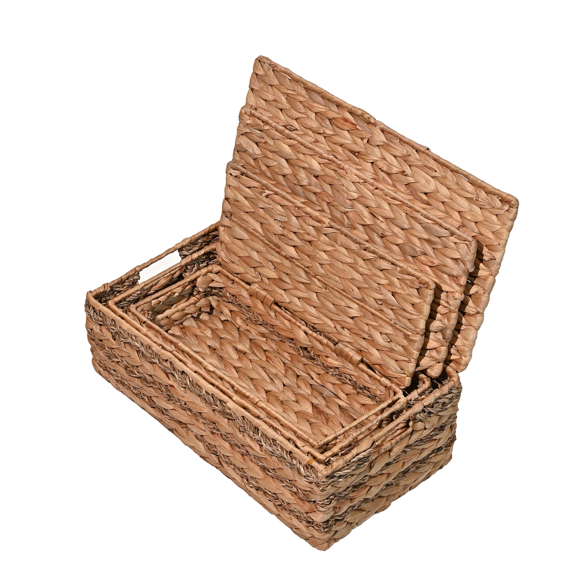 Sandrine Classic Farmhouse Handwoven Hyacinth Storage Baskets with Handles and Lids (Set of 3) - Happimess