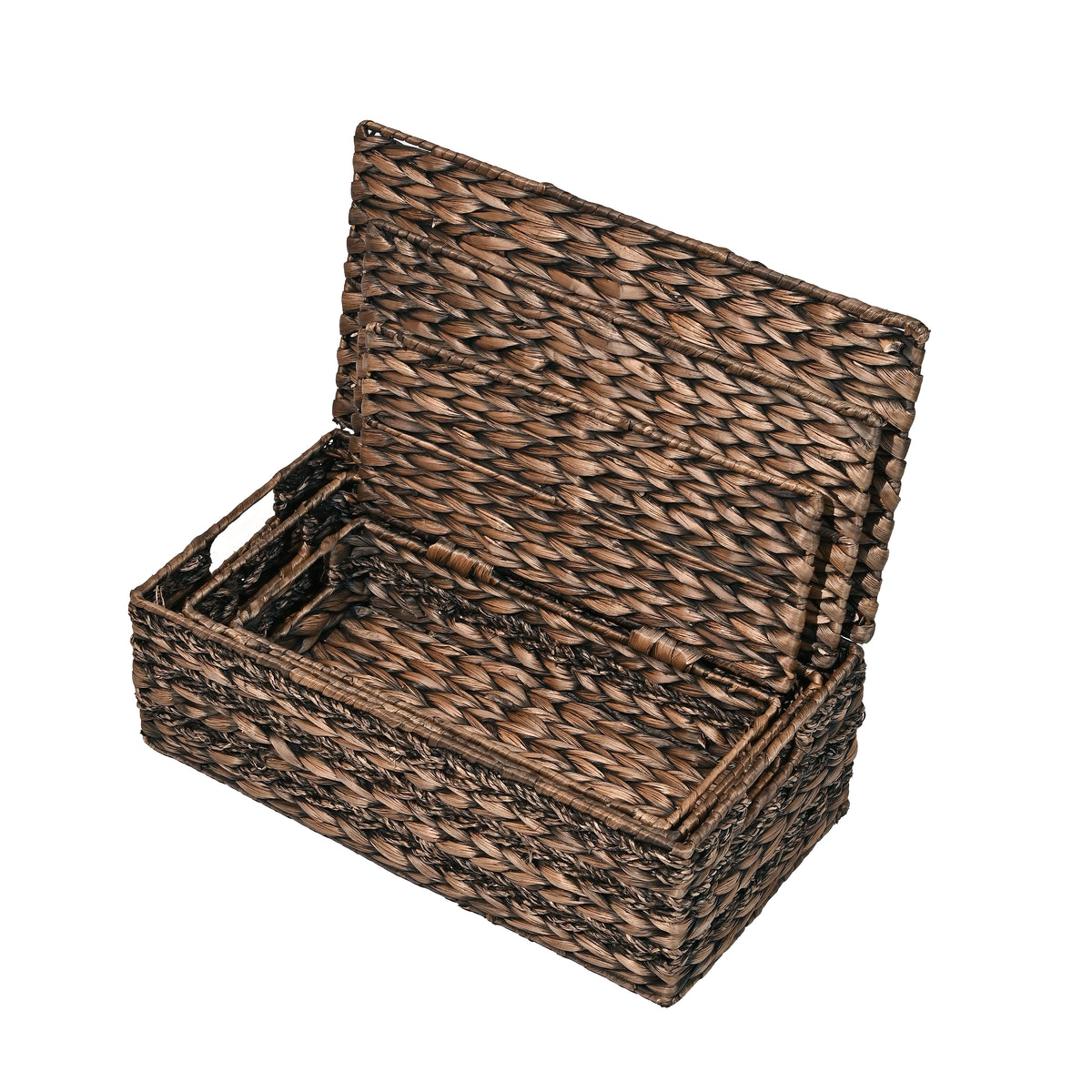 Sandrine Classic Farmhouse Handwoven Hyacinth Storage Baskets with Handles and Lids (Set of 3) - Happimess