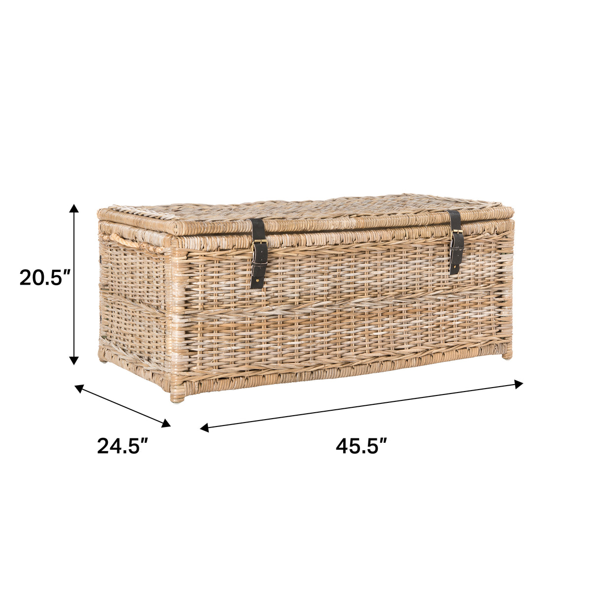 Caden 46" Wicker Storage Trunk - Natural/Gray Kubu