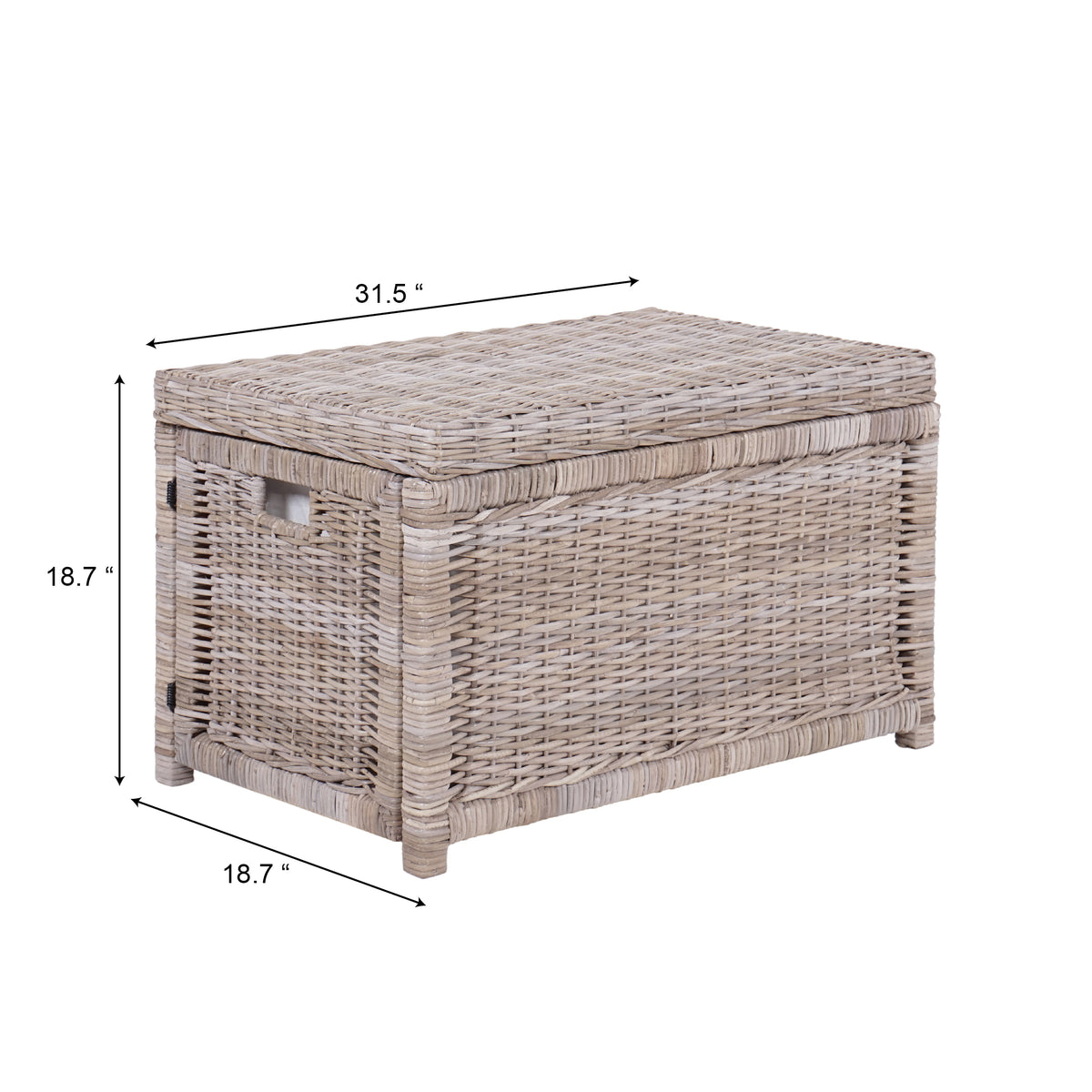 Elijah 30" Wicker Storage Trunk - Happimess
