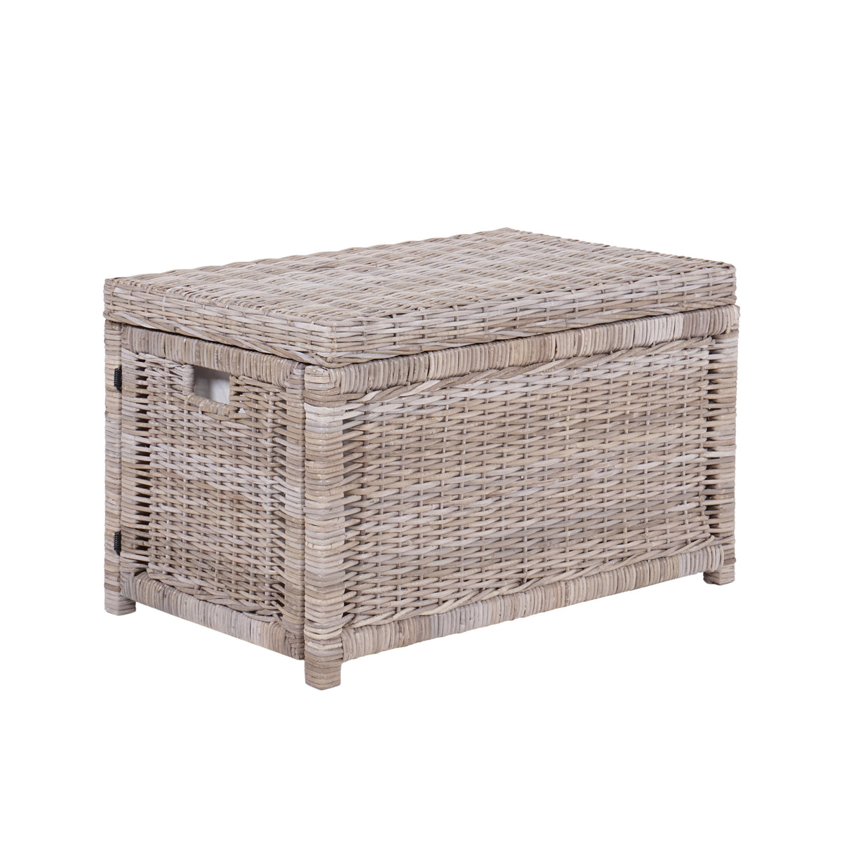 Elijah 30" Wicker Storage Trunk - Happimess